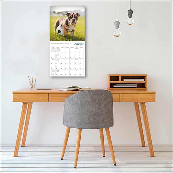 Dogma 2027 Wall Calendar - Image 5