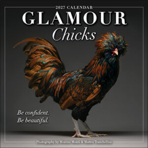 Glamour Chicks 2027 Wall Calendar