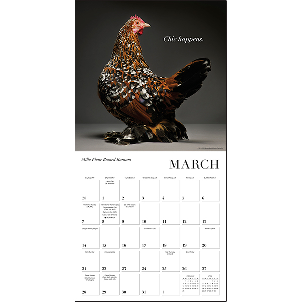 Glamour Chicks 2027 Wall Calendar - Image 3