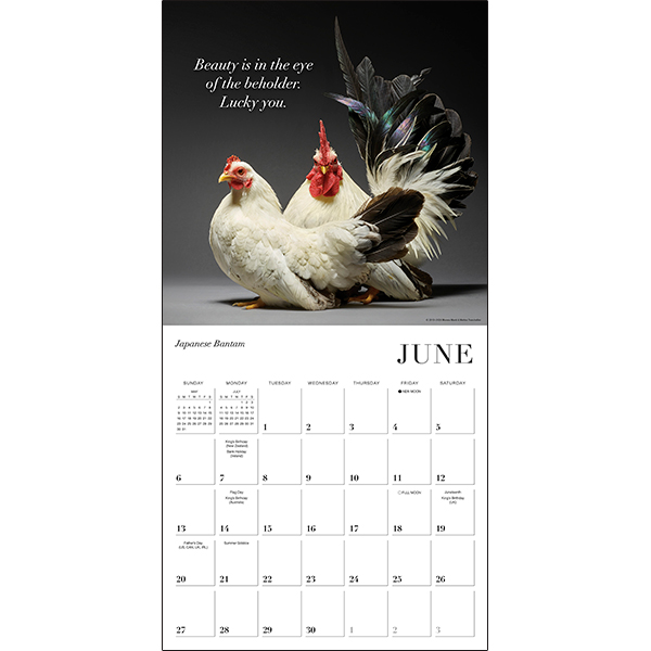Glamour Chicks 2027 Wall Calendar - Image 4
