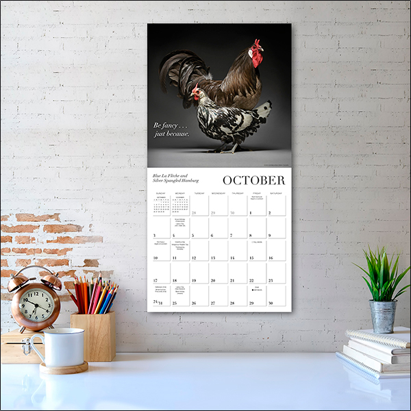 Glamour Chicks 2027 Wall Calendar - Image 5