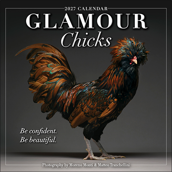 Glamour Chicks 2027 Wall Calendar