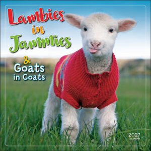 Lambies in Jammies 2027 Wall Calendar