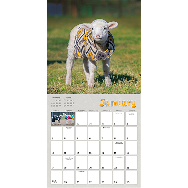 Lambies in Jammies 2027 Wall Calendar - Image 3