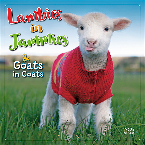 Lambies in Jammies 2027 Wall Calendar
