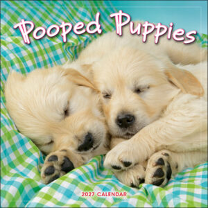 Pooped Puppies 2027 Wall Calendar
