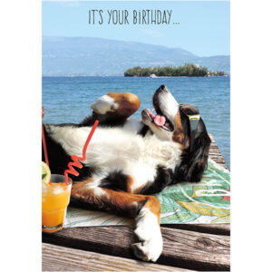 Birthday, Humor - B4068A