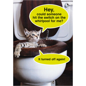Birthday, Humor - B7799
