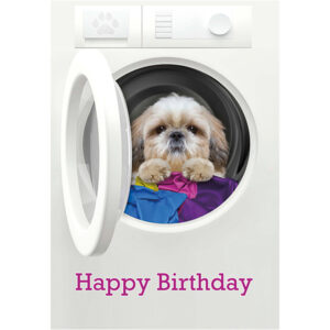 Birthday, Humor - B8531