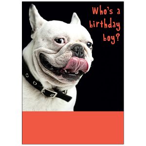 Birthday, For Him - B7224A
