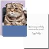 Birthday, Humor - B7467A - Image 2