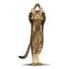 Yoga Cats - Image 2