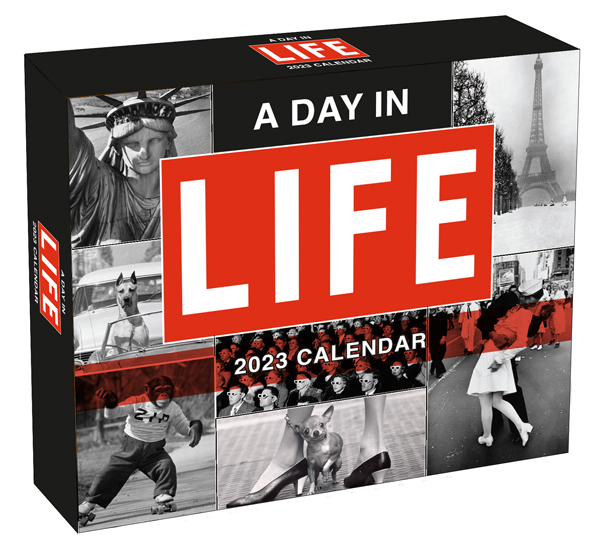 A Day in LIFE 2023 Boxed Daily Calendar - RSVP