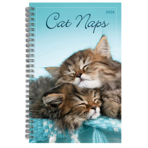 Cat Naps 2026 Weekly  Planner