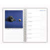 Dogma 2026 Weekly Planner - Image 4
