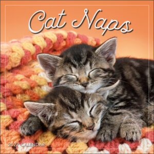 Cat Naps 2027 Mini Calendar