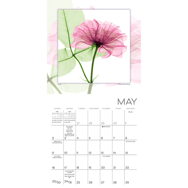 Flower Spirits 2027 Mini Calendar - Image 4