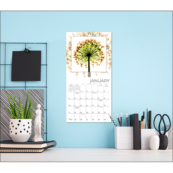 Flower Spirits 2027 Mini Calendar - Image 5