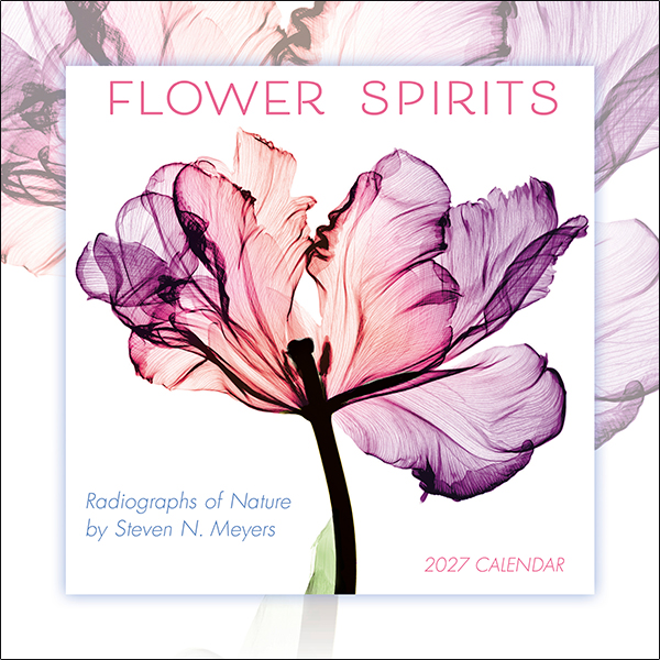 Flower Spirits 2027 Mini Calendar