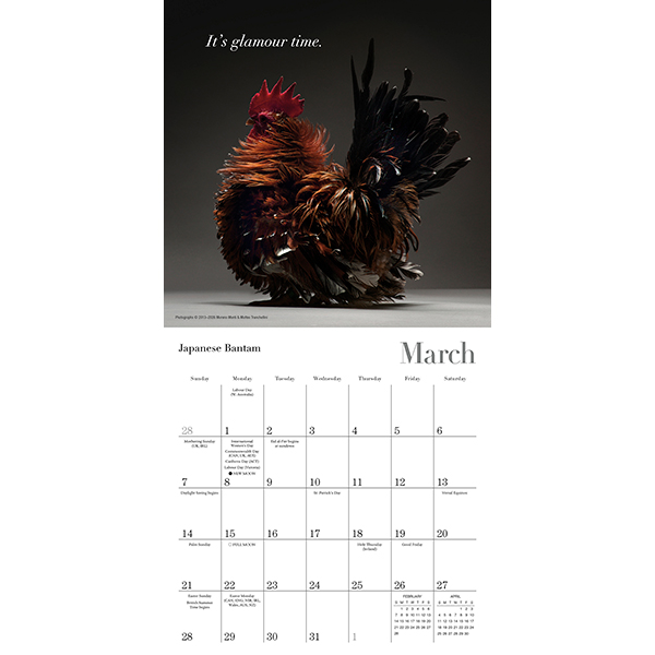 Glamour Chicks 2027 Mini Calendar - Image 4