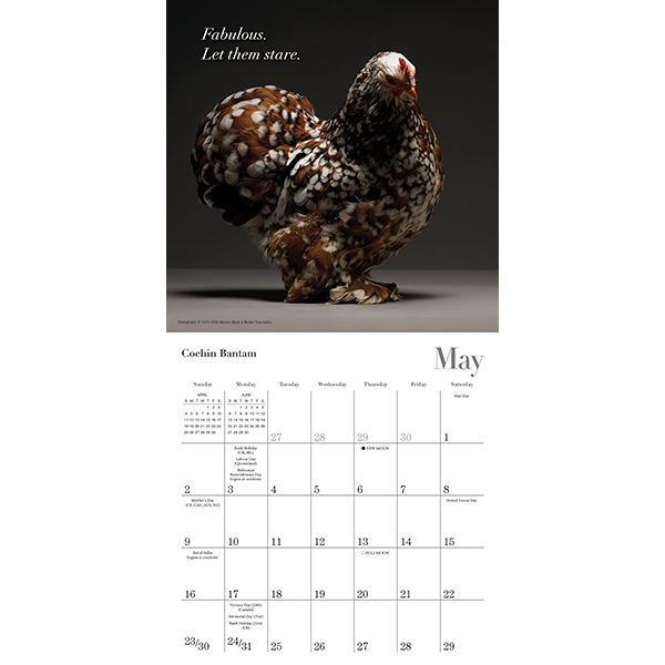 Glamour Chicks 2027 Mini Calendar - Image 3