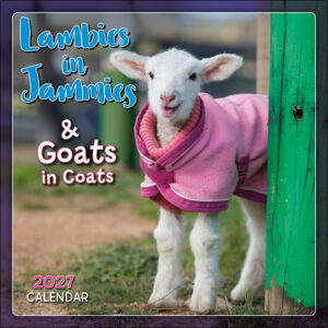 Lambies In Jammies 2027 Mini Calendar