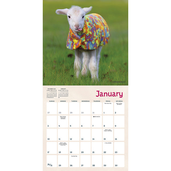 Lambies In Jammies 2027 Mini Calendar - Image 3