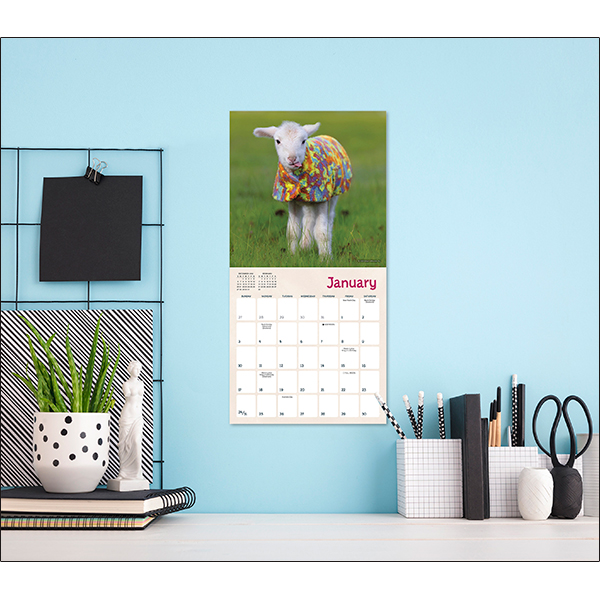 Lambies In Jammies 2027 Mini Calendar - Image 5