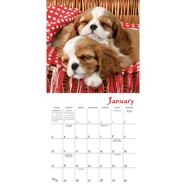 Pooped Puppies 2027 Mini Calendar - Image 3