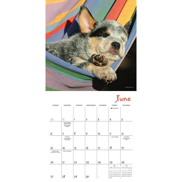 Pooped Puppies 2027 Mini Calendar - Image 4