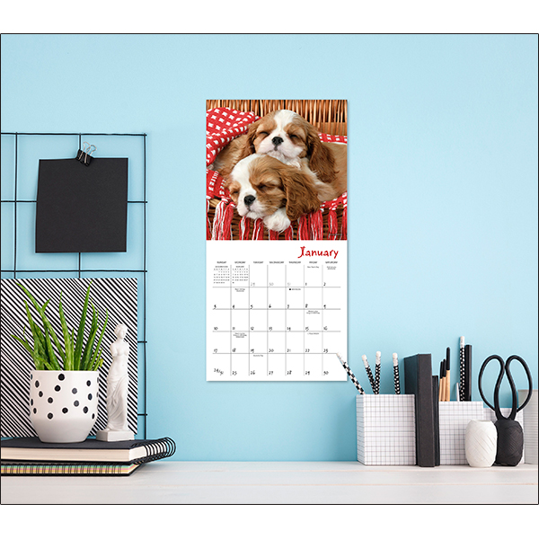 Pooped Puppies 2027 Mini Calendar - Image 5