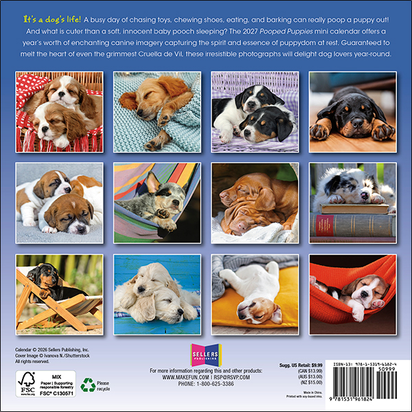 Pooped Puppies 2027 Mini Calendar - Image 2