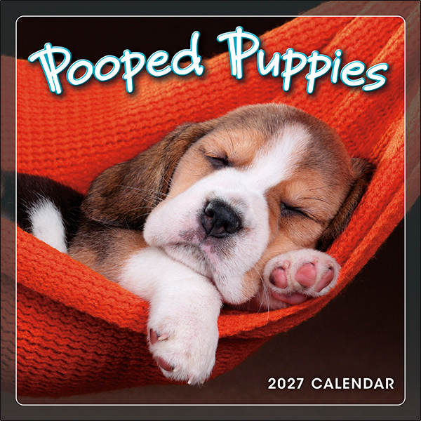 Pooped Puppies 2027 Mini Calendar