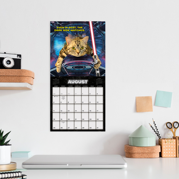 Cat Wars 2024 Mini Calendar RSVP