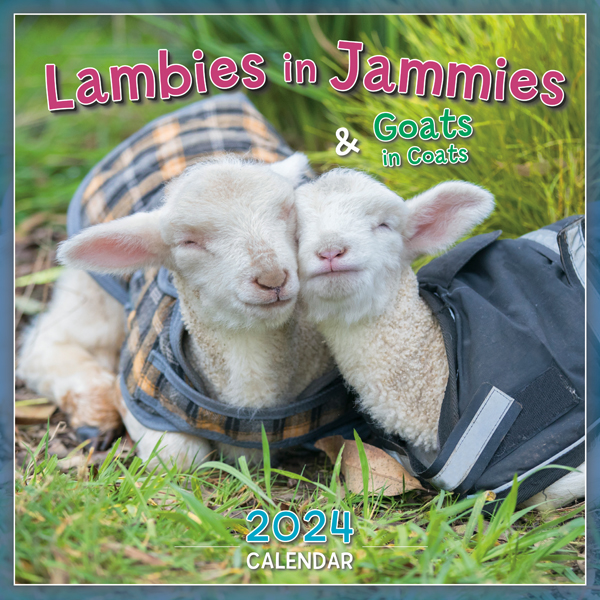 Lambies In Jammies 2024 Mini Calendar RSVP