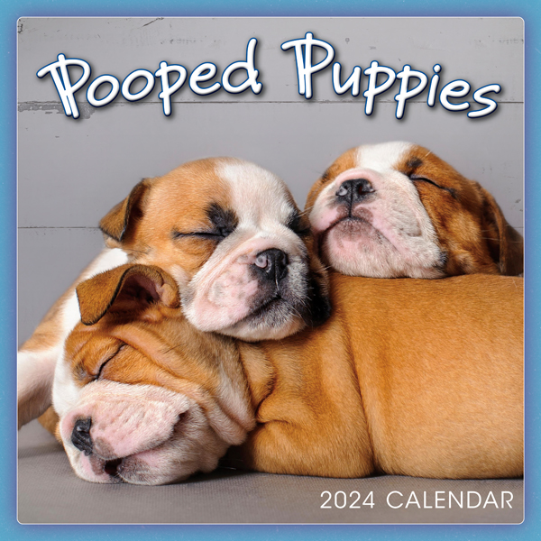 pooped-puppies-2024-mini-calendar-rsvp