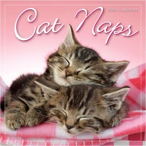 Cat Naps 2026 Mini Calendar