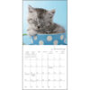 Cat Naps 2026 Mini Calendar - Image 4