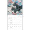Cat Naps 2026 Mini Calendar - Image 3