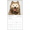 Dogma 2026 Mini Calendar - Image 4