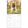 Dogma 2026 Mini Calendar - Image 3