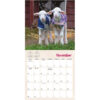 Lambies In Jammies 2026 Mini Calendar - Image 5