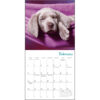 Pooped Puppies 2026 Mini Calendar - Image 4