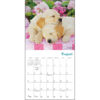 Pooped Puppies 2026 Mini Calendar - Image 3