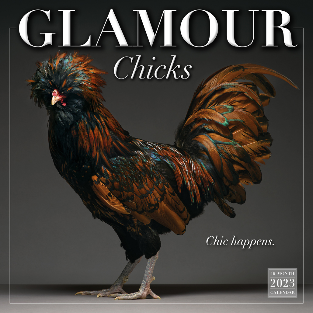 Glamour Chicks 2023 Wall Calendar RSVP