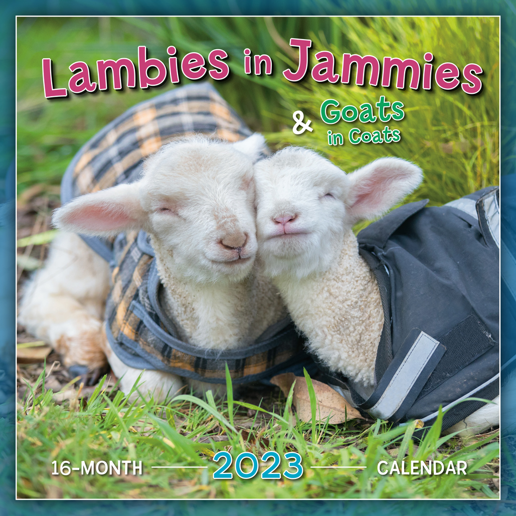 Lambies in Jammies 2023 Wall Calendar - RSVP Lambies in Jammies 2023 Wall Calendar - RSVP