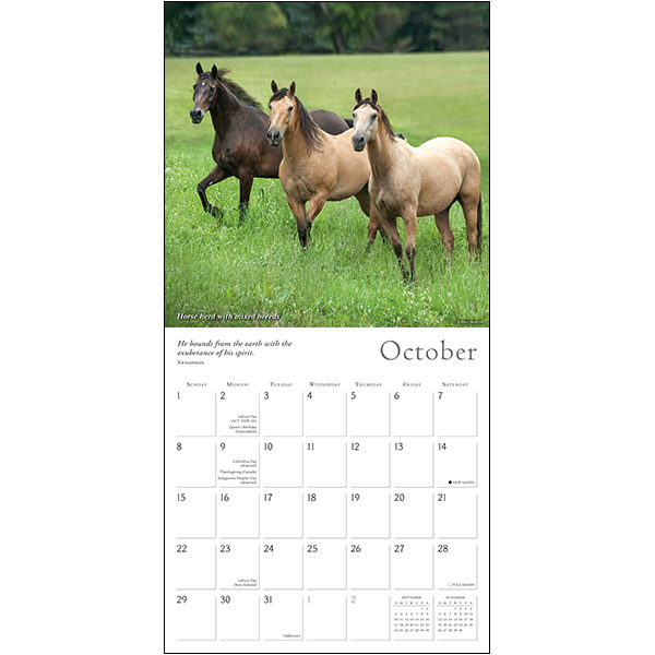 The Spirited Horse 2023 Wall Calendar RSVP