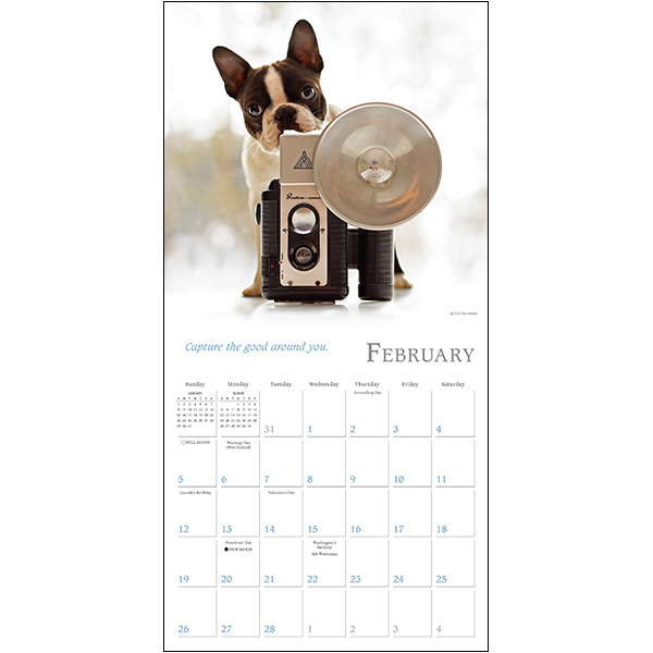Dogma 2023 Mini Calendar RSVP