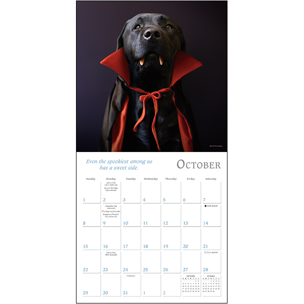 Dogma 2023 Mini Calendar RSVP