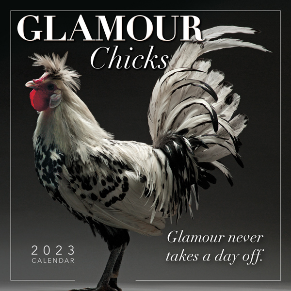 Glamour Chicks 2023 Mini Calendar RSVP